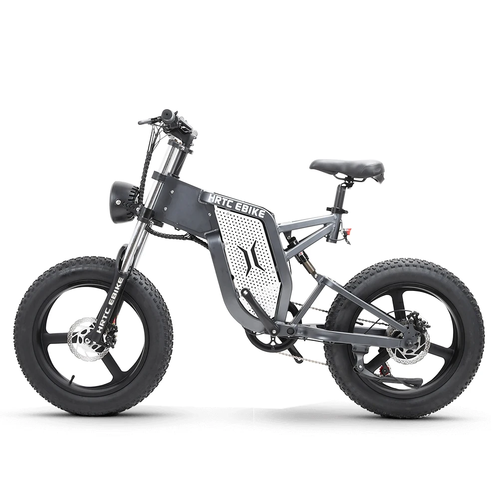 20 inch electric bike 48v 1000W high speed motor 25ah Stealth lithium battery long life scooter fat snow tire electric ebike