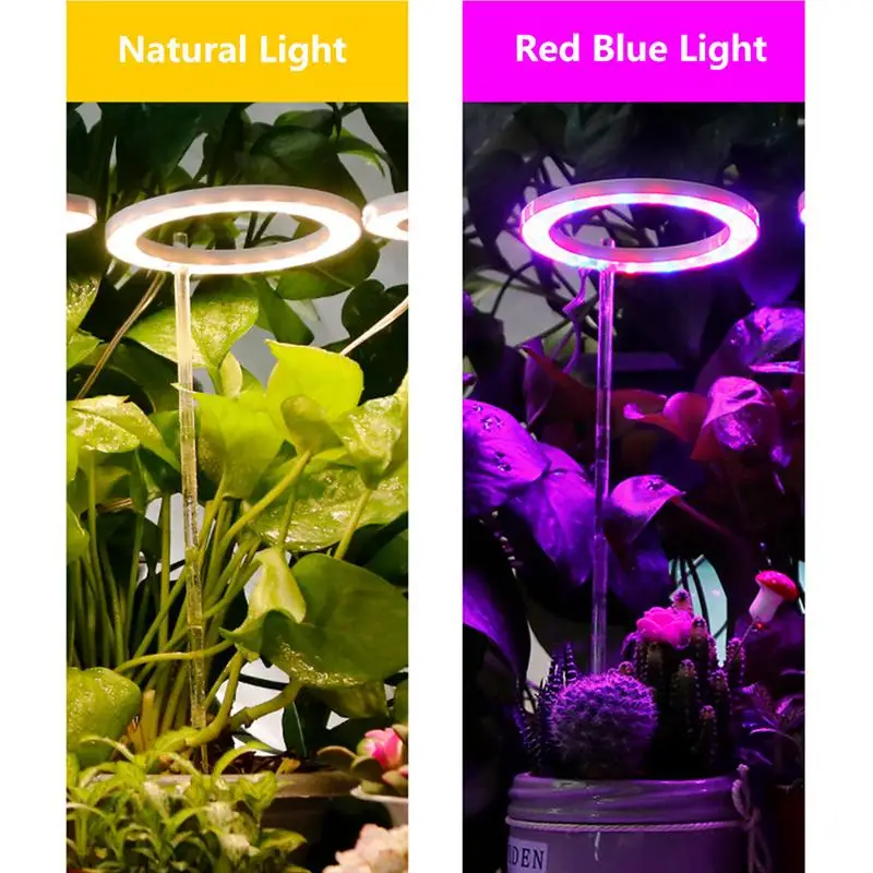 

Plant Grow Light Full-Spectrum Plant Grow Lamp Lovely Round Plant Light Brightness Adjustable LED Bulbs For Roses Green Dill