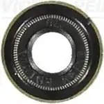 

REINZ70-42741-00 для SUBAP KECESI (впускная) A1 A3 A4 A5 Q2 Q3 seat IBIZA LEON TOLEDO FABIA OCTAVIA RAPID SCALA SUPERB YETI