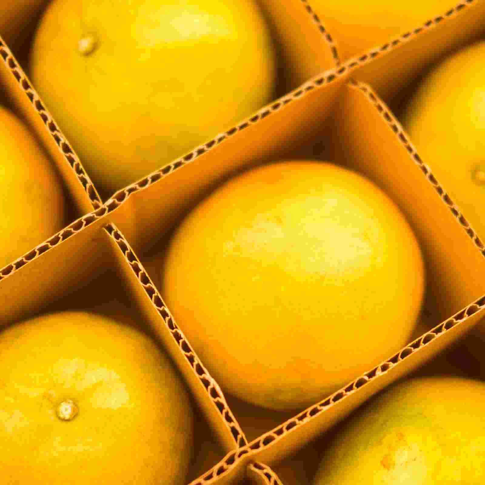 Доставка Картонные разделители коробки для упаковочных принадлежностей