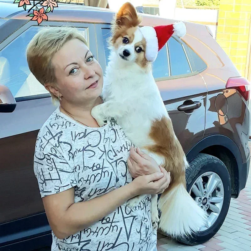 Рождественская шапка для домашних животных Красная плюшевая Шляпа Праздничное