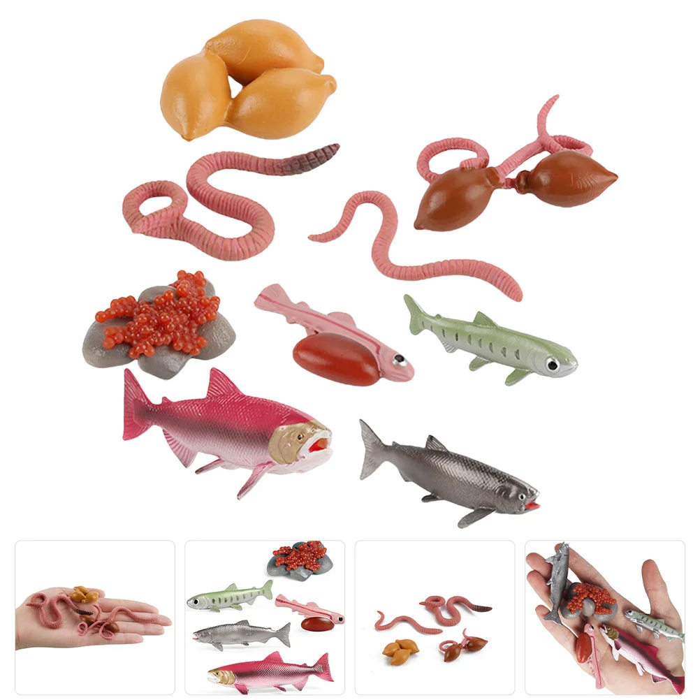 

Worm Fish Cognition Wild Life Growth Model Statuette Kids Early Education Toys Abs Earthworm Toys Salmon Figurine Child