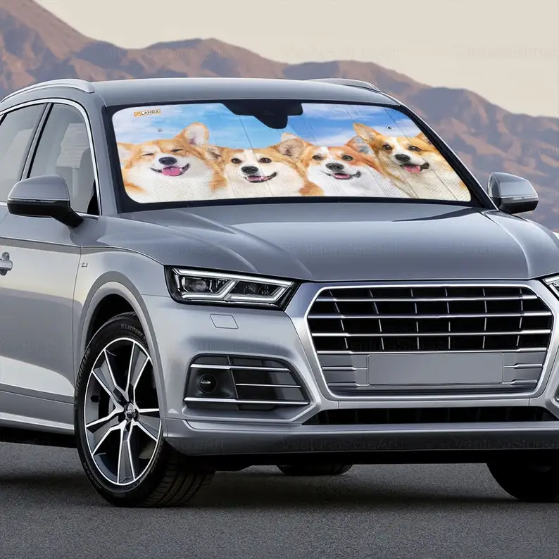 Рисунок 4 - Автомобильный солнцезащитный козырек Corgi