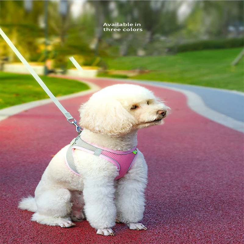 Жилетка-шлейка для собак с поводком регулируемый нагрудный ремень маленьких и