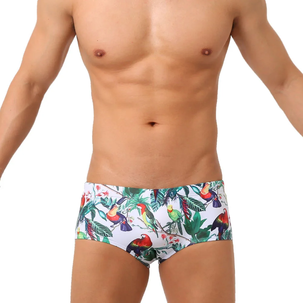 

European And American Retro Striped Printing Quick-Drying With Cups Revealing Large Anti-Flash Men's Sexy Briefs Swimming Shorts