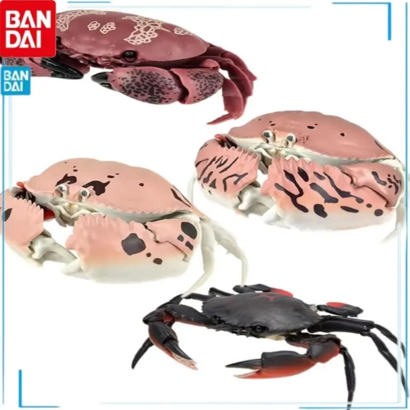 

Bandai Gashapon Simulation Animal Black Blue Crab Atergatis Floridus Calappa Lophos Calappa Philargius Model Kids Brinquedos