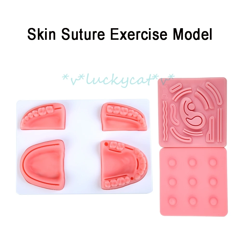 

new arrival Dental Oral Gum Suture Training Module Medical Skin Suture Surgical Training Kit Dental Silicone Suture Model tool