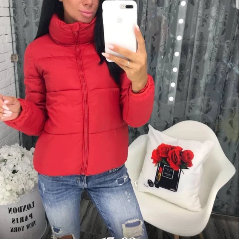 Bubble Coat Stand-up Collar Contrast Stitching Slim Slimming Short 2022 New Fashion Winter and Autumn Women's Thick Down Jacket