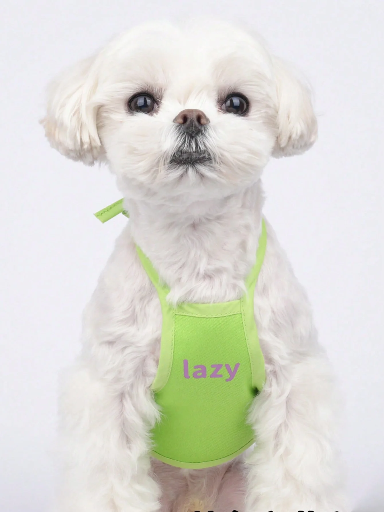 1 шт. однотонный фартук для питомцев