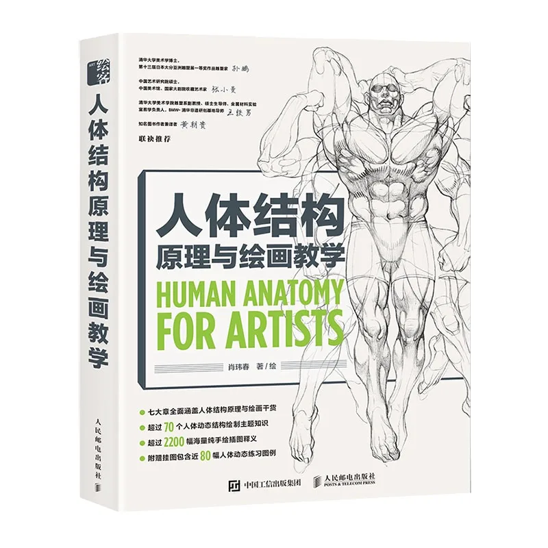 

Principle Of Human Body Structure And Painting Teaching Illustration Character Structure Modeling Drawing Tutorial Books Album