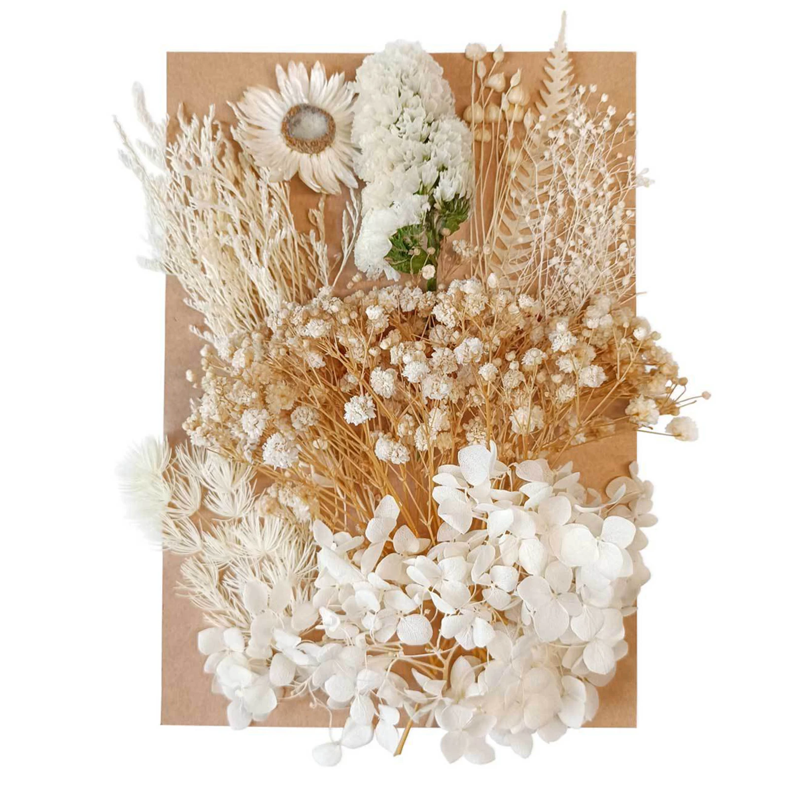 

Romantic Gift DIY Craft Jewelry Making Nail Art Artificial Flower Dry Plant