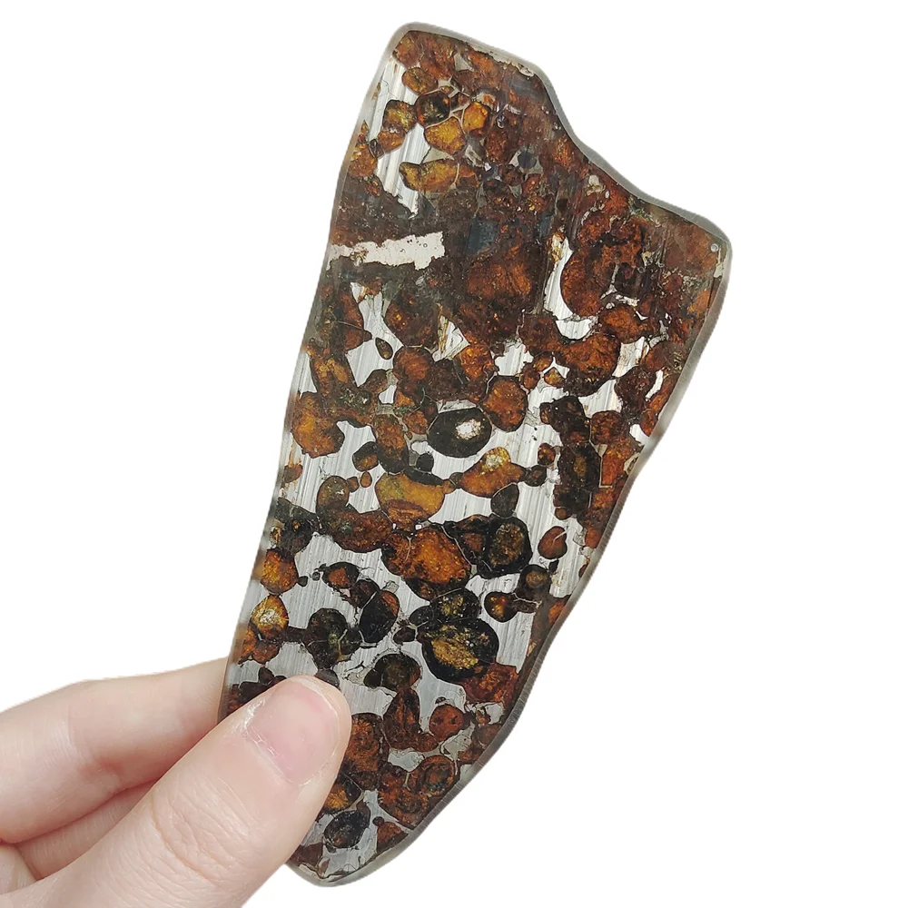 

52.1g SERICHO Pallasite Natural Meteorite Material Sliced Olive Meteorite Slices Specimen Collection - From Kenya - QA132