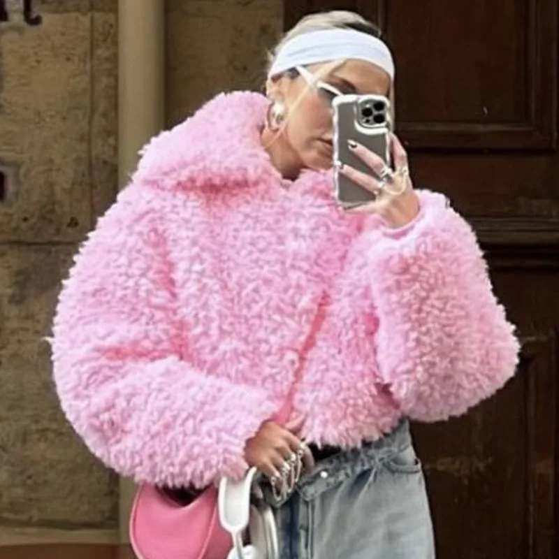 

Европейская и американская куртка с плюшевым воротником, уличная фотография, модный Индивидуальный Женский Свободный Повседневный зимний женский стиль на молнии