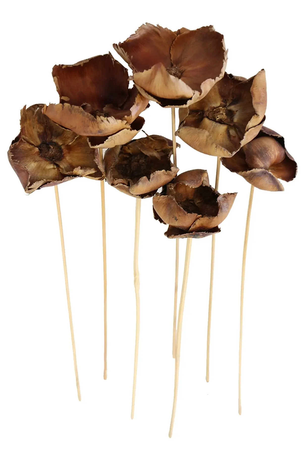 

Dry Flower 7 Pcs Piece Cup Bunch 45 cm natural Home Wedding Birding Decoration Artificial Flowers Dry Flower 32085620