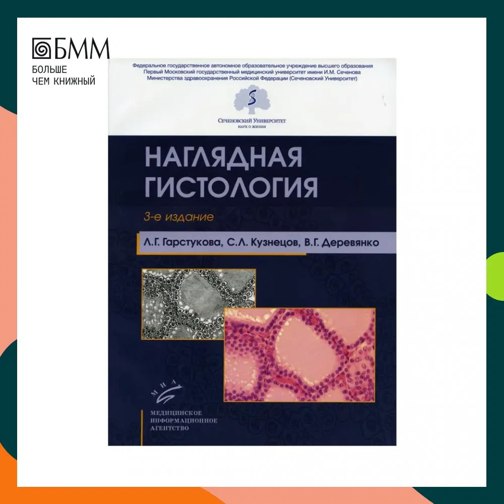 Наглядная гистология гарстукова. Наглядная гистология гарстукова