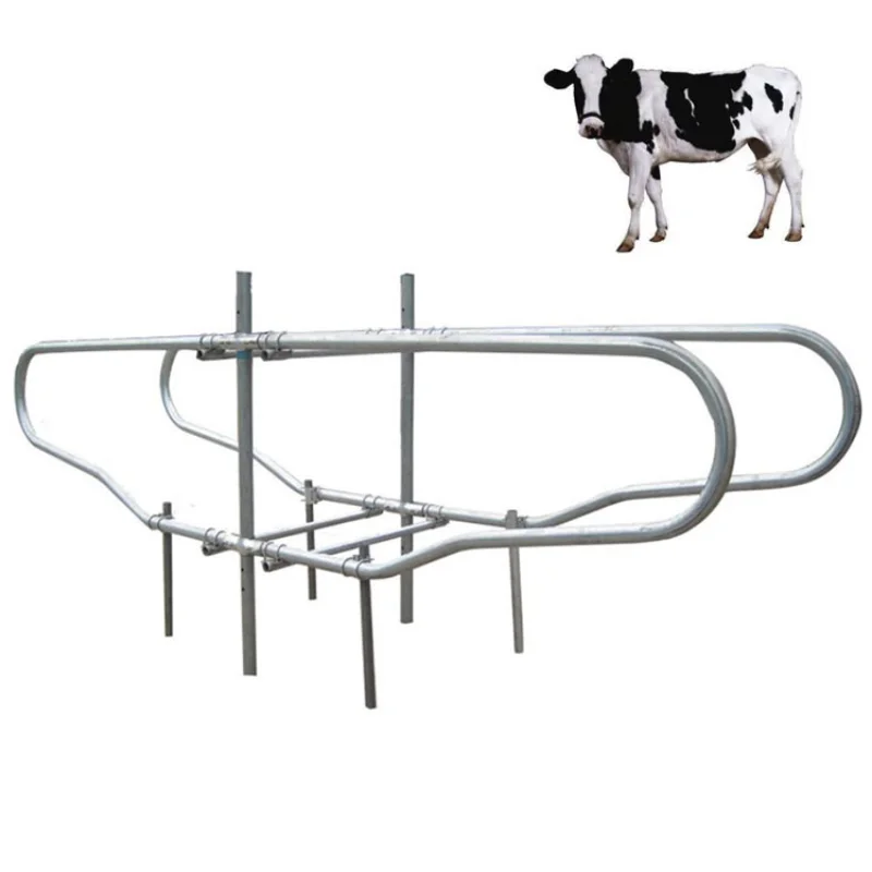 

Portable Cow Cubicles Hot Dip Galvanized Cattle Livestock Divided Panels Durable Cow Free Stall For Dairy Farm