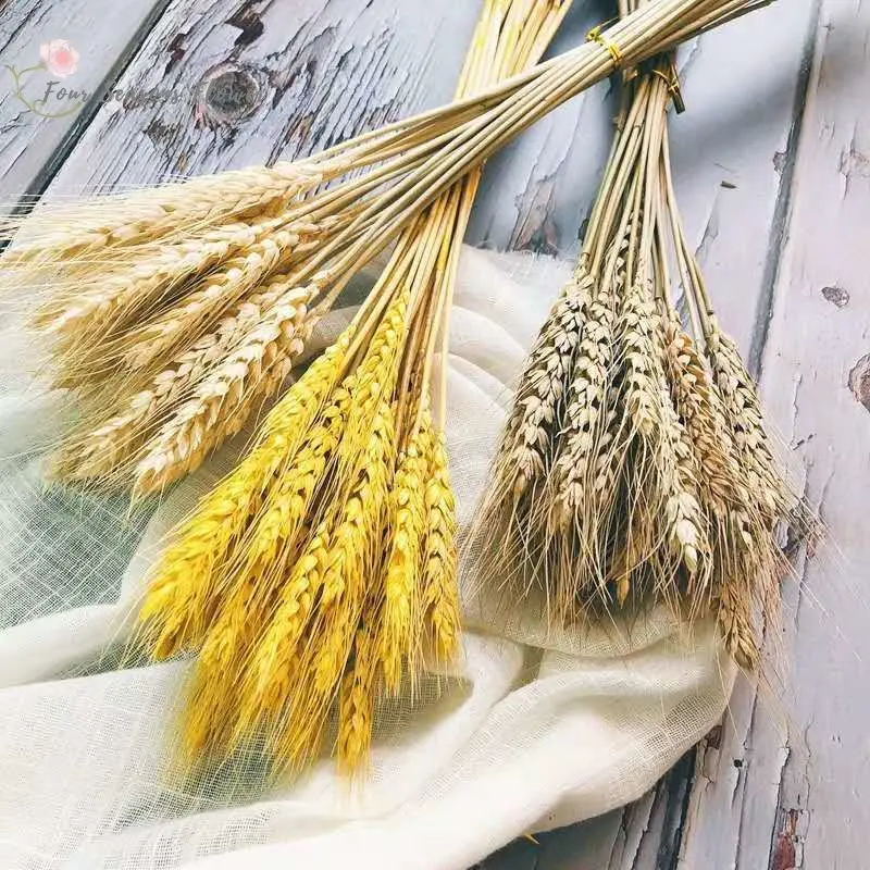 

100Pcs Natural Dried Wheat Golden Ear Flowers Bunch for Home Table Wedding Decoration DIY Preserved Flower Bouquet Photo Prop