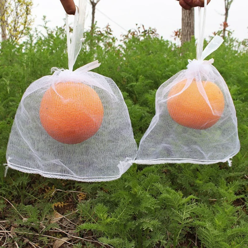 

20 Pcs Fruit Vegetable Growth Protection Bag Bird Proof Insect Proof Mesh Bag Breathable Gauze Bag Garden Supplies