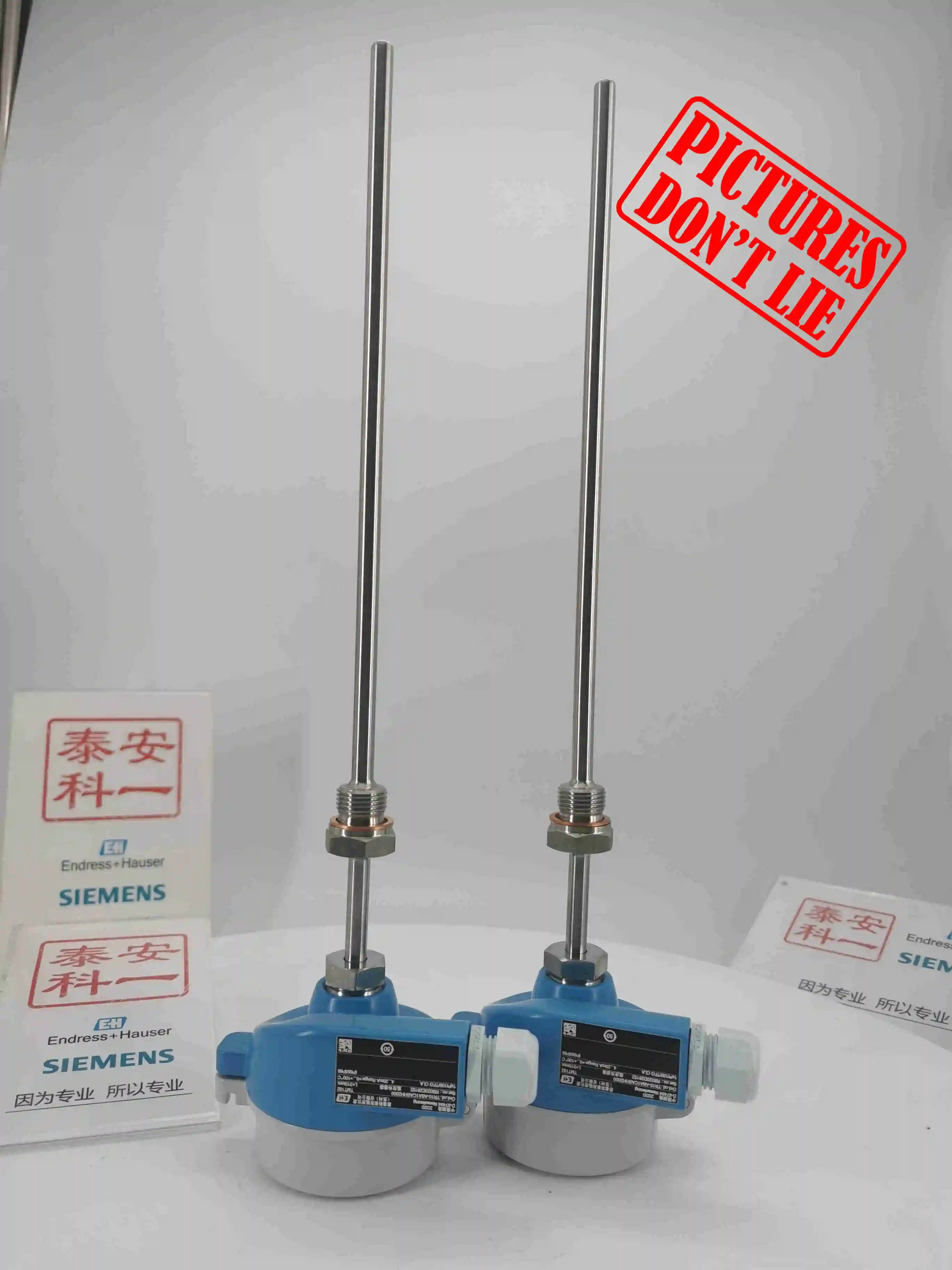 Взрывозащищенный термометр Endress + Hauser Pt100 TR10, модульная температура (art.: 3920c28efeef9) - 3920c28efeef9