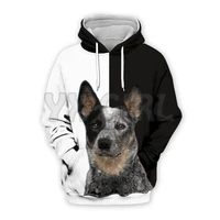 australian cattle dogs 3d printed hoodies unisex pullovers funny dog hoodie casual street tracksuit