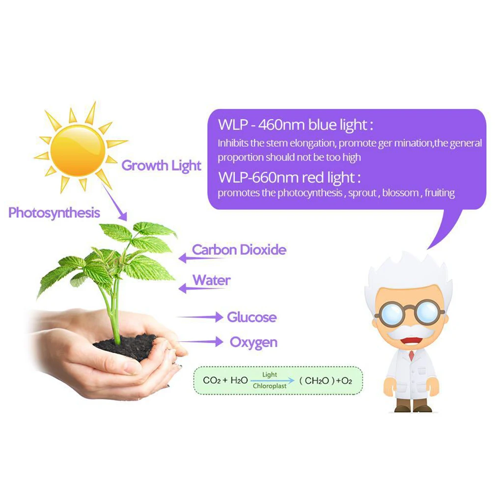 

Grow Light Strip LED Trimmable Indoor Plant Strip Flexible Self Adhesive Growing Lamp 3 meters Waterproof