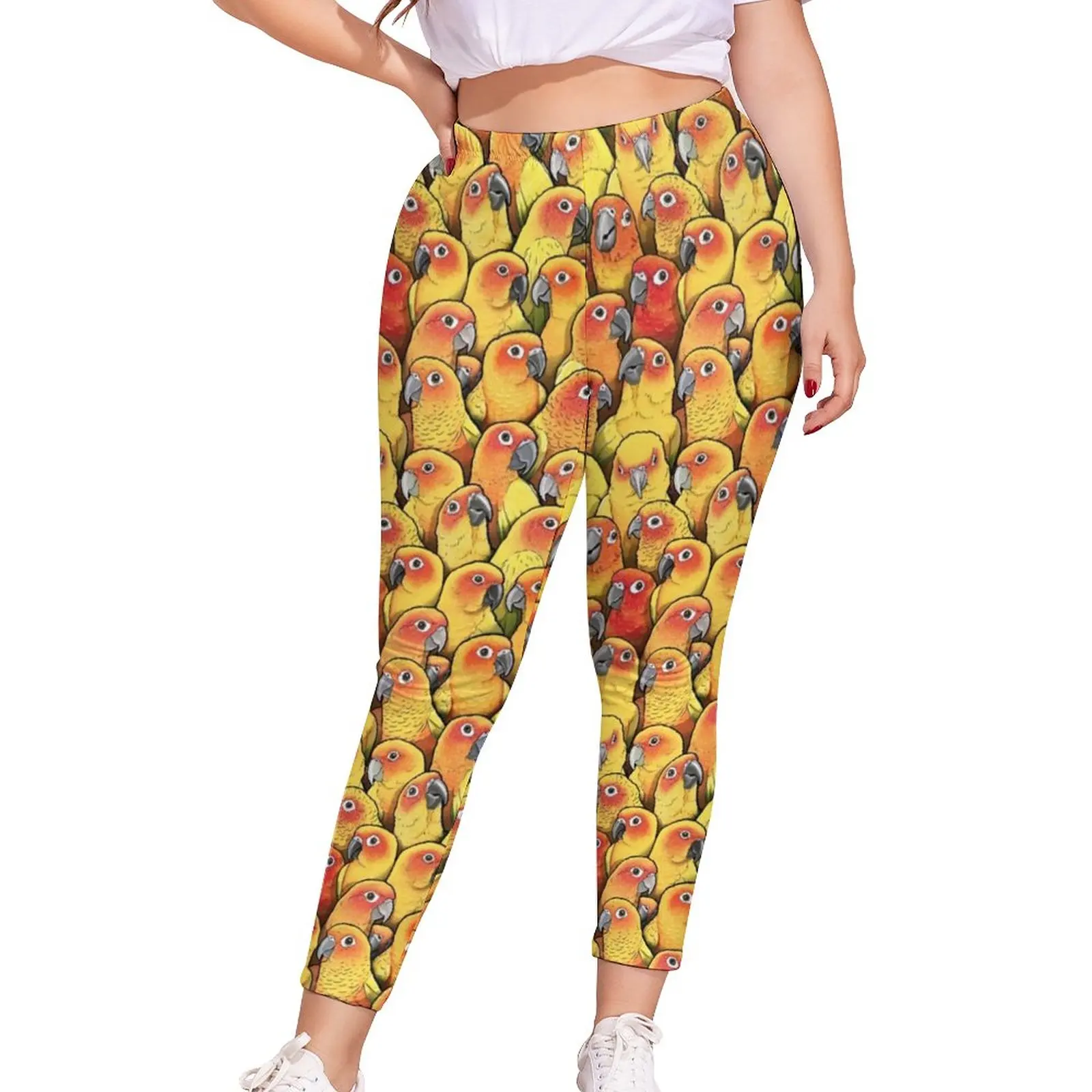

Yellow Parrot Leggings Female Sun Conures Print Graphic Leggins Soft Funny Work Out Pants Big Size 4XL 5XL
