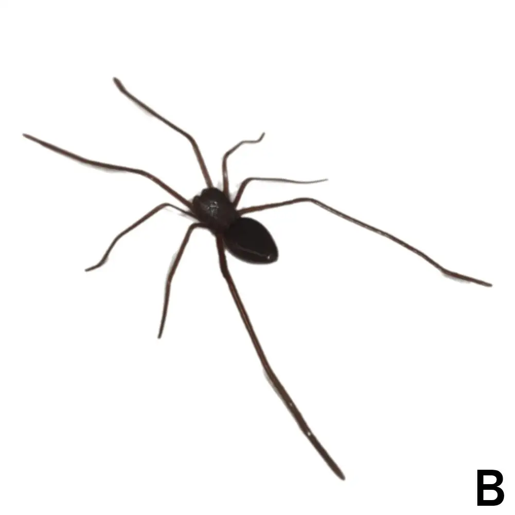 

Магнитная наклейка на холодильник с пауком