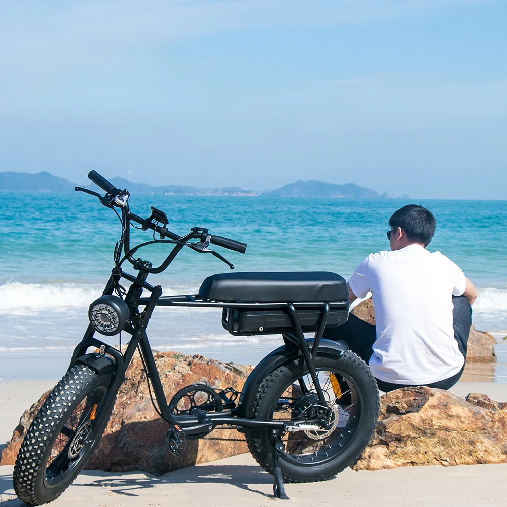 

stock e-bike 48v Electric motorcycle Bike road tire Bicycle mountain electric bike