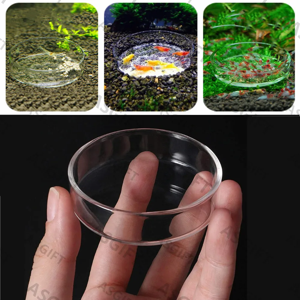 

Glass Aquarium Shrimp Food Feeder Bowl Cup Fish Tank Bottom Food Feeding Dish Container For Shrimp Snail Crab Tropical Fish