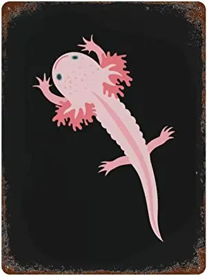

Axolotl Welcome Metal Tin Sign Iron Poster Hanging Painting with Rust Vintage Wall Decor