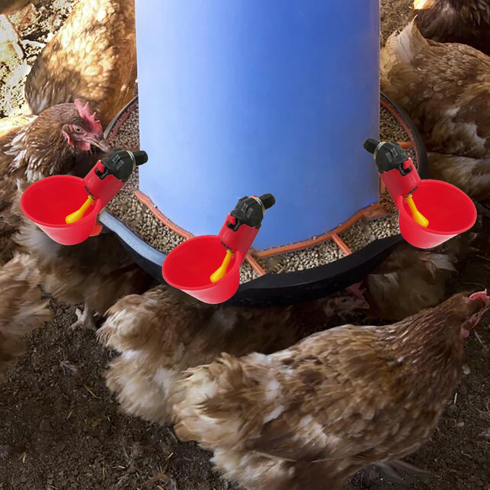 

Poultry Water Drinking Cups Automatic Quail Chicken Drinking Plastic Chicken Fowl Drinker Cups Breeding Equipment