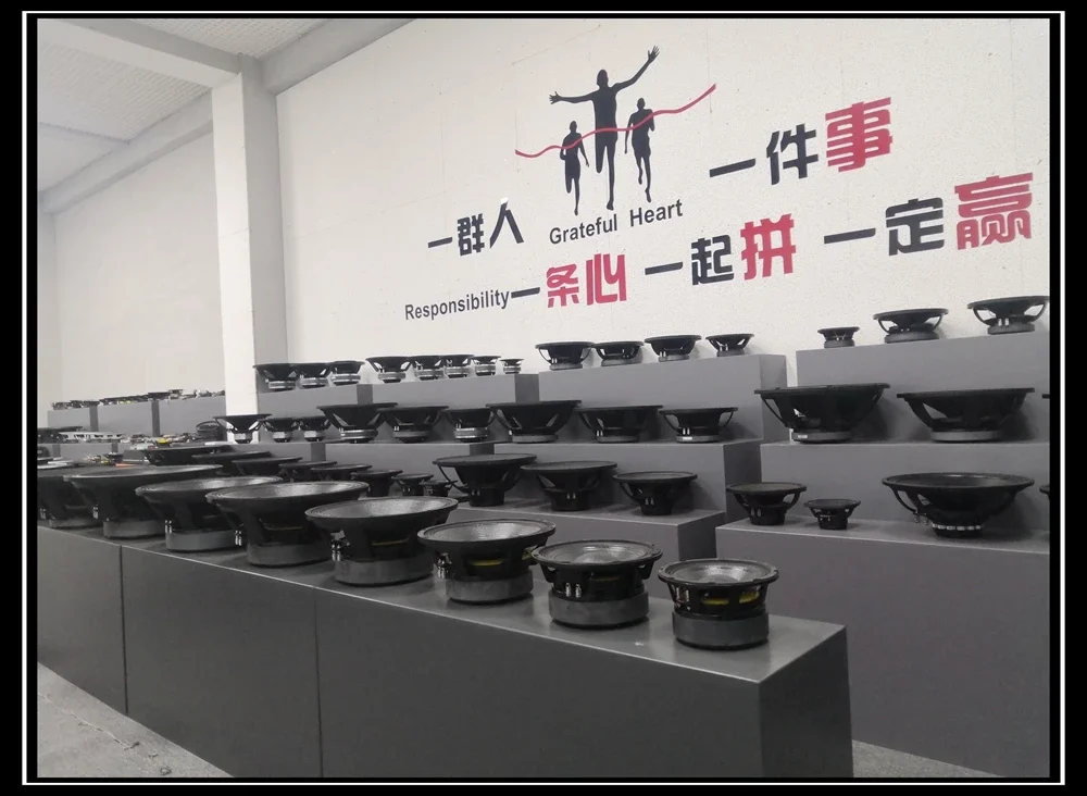 15-дюймовые профессиональные колонки с высокой мощностью 2000 Вт 8 Ом 15150-003