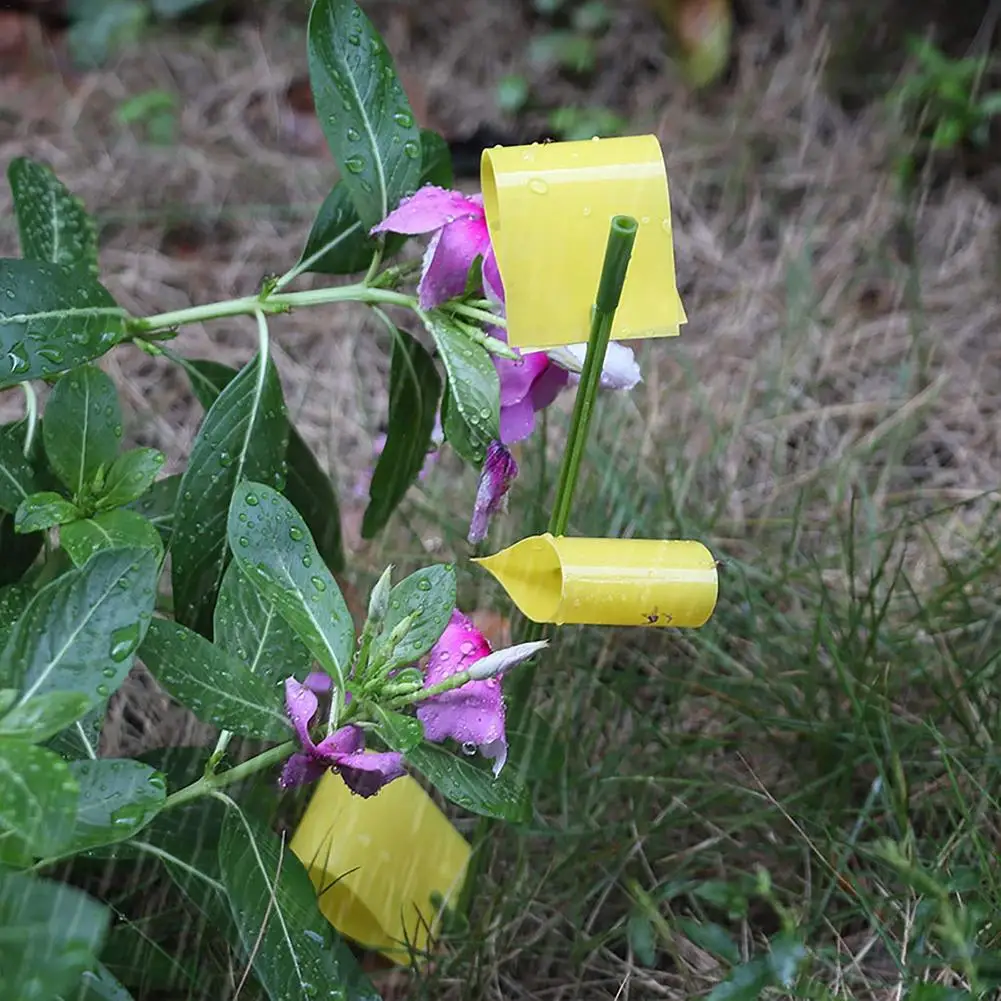 Ловушка для фруктов и мух липкая приманка комнатных растений водонепроницаемый