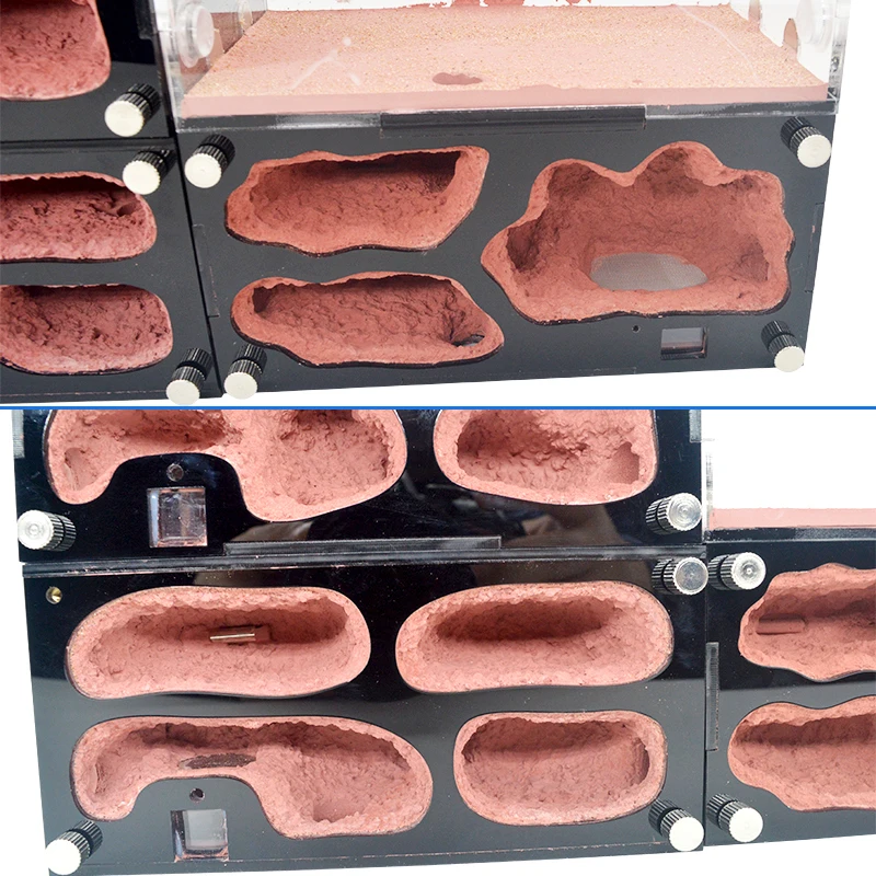 Интеллектуальная температурная муравьиная ферма неограниченное соединение