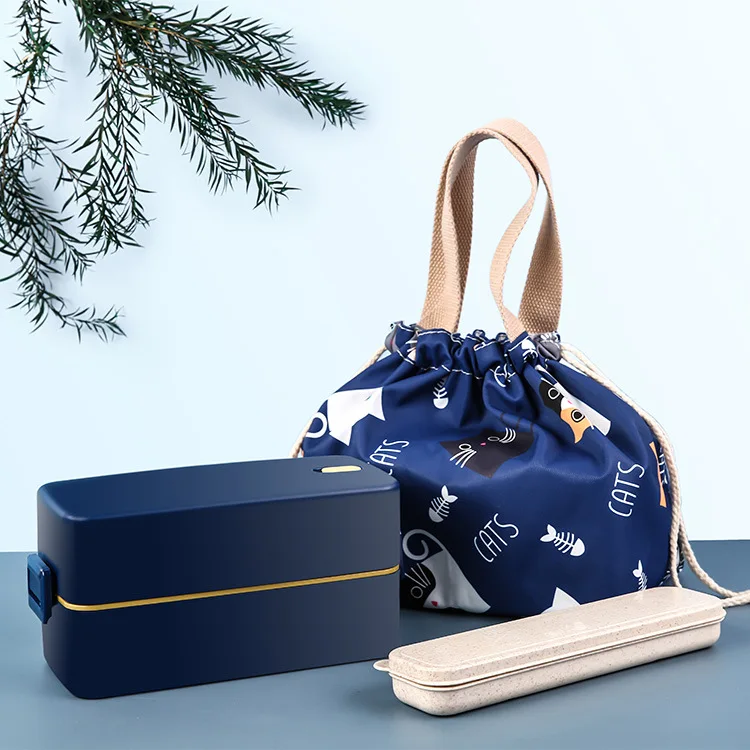 

Student Office Worker 2 Layer Lunch Box Portable Microwavable Japanese Bento Box Cute Thermal Bag Lunch Bags for Girl Women's