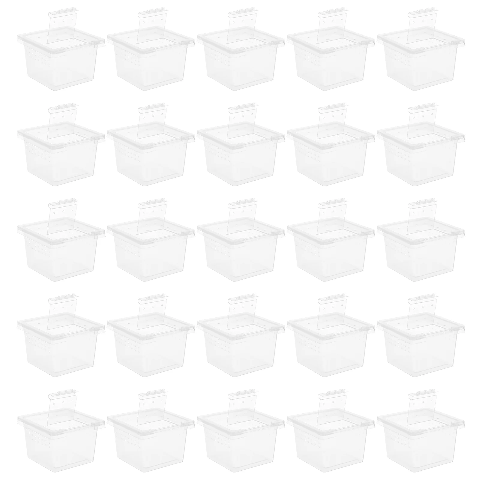 

Reptile Box Breeding Feeding Egg Lizard Terrariumcage Boxes Containergecko Terrariums Spider Transparent Nesting Lizards Tray