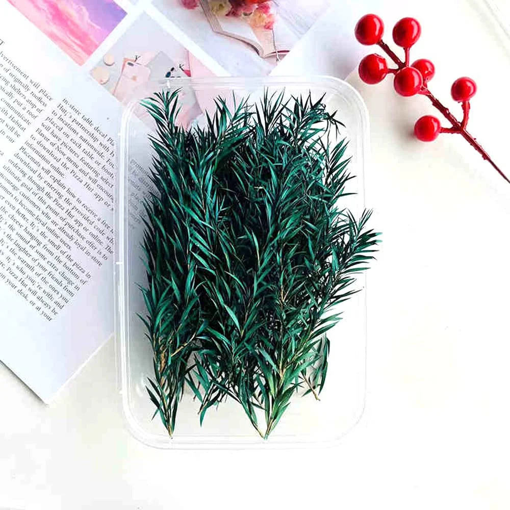 

20PCS Natural Eucalytus Branches Decor Dried Flowers Resin Molds, Home Decor Mini Dried Flower,Pressed Flowers Wedding DIY Craft
