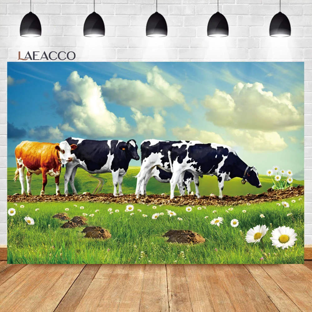 

Laeacco Green Grassland Pasture Natural Landscape Cows Photocall Photography Background Flowers Clouds Adults Portrait Backdrop