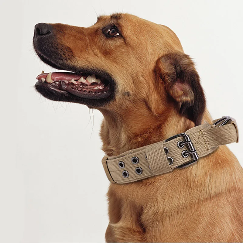 

Dog Collar Durable Nylon Adjustable Outdoor Training Pet Small Large Dog Collar