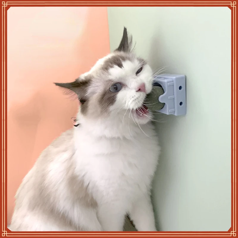 

Rotation Natural Catnip Pet Roducts Cat Toys Chewing Toy Accessories Kitten Edible Treating Cleaning Teeth Teasing Suppliescat a