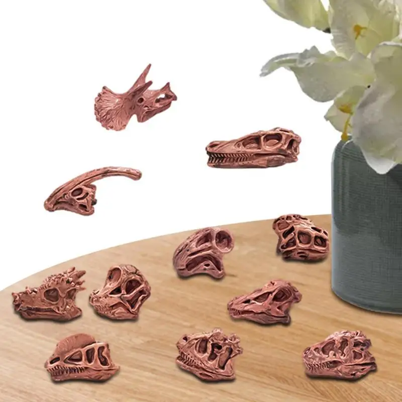 

Children Toys Archeology Prehistoric Mammal Dinosaur Skull Fossil Model Set Tyrannosaurus Skull Fossil Science Educational Toys