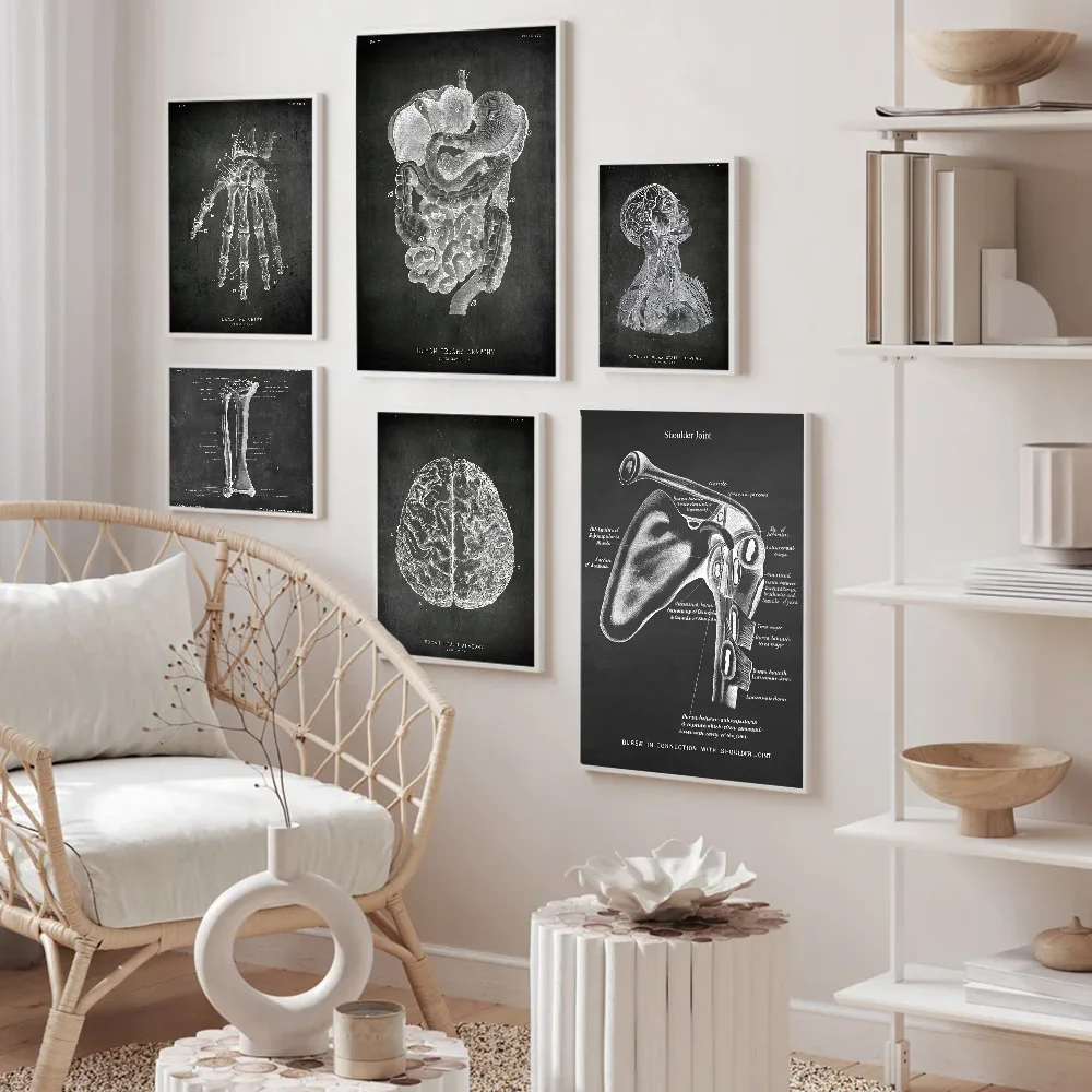 Анатомический скелет классная доска рисунок сделай сам липкий постер белая