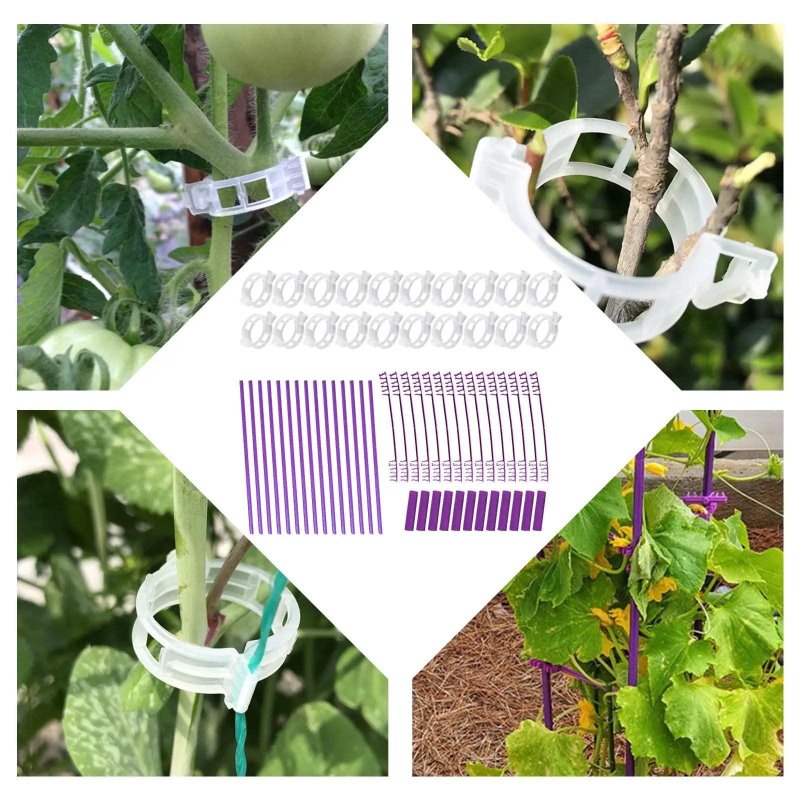 

Climbing Plant Support Plant Trellis Support Rod Plant Climbing Frame for Flower