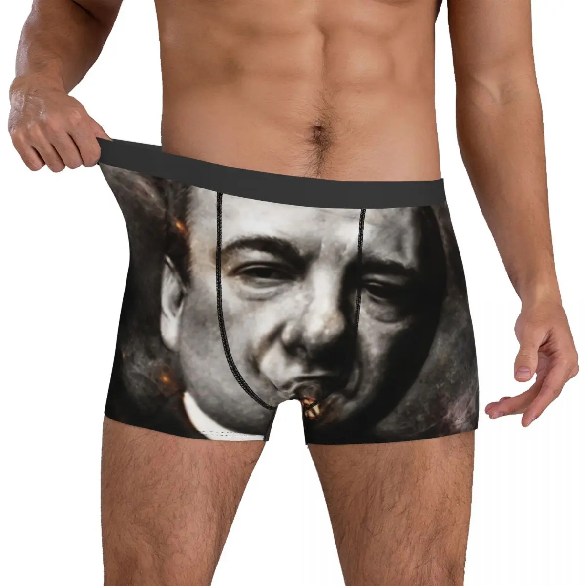 

Sopranos Underwear The Sopranos Tony Soprano Men Panties Print Funny Boxer Shorts Hot Boxer Brief Plus Size