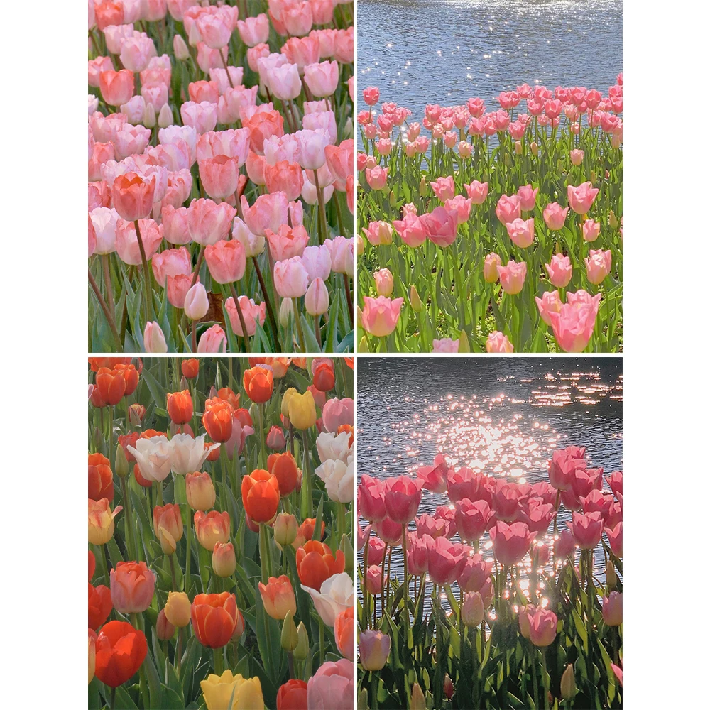 

5D DIY Diamond Painting Tulips Flower Diamond Embroidery Full Square Round Drill Cross Stitch Mosaic Home Decor Handmade Gift