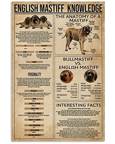 Цветные плакаты Greyhound из металла и олова для знаний о виде собаки фермы семейного