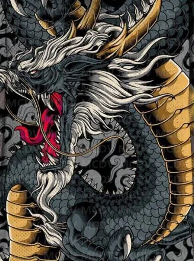 Мужская Флисовая Куртка с капюшоном и принтом дракона длинным рукавом