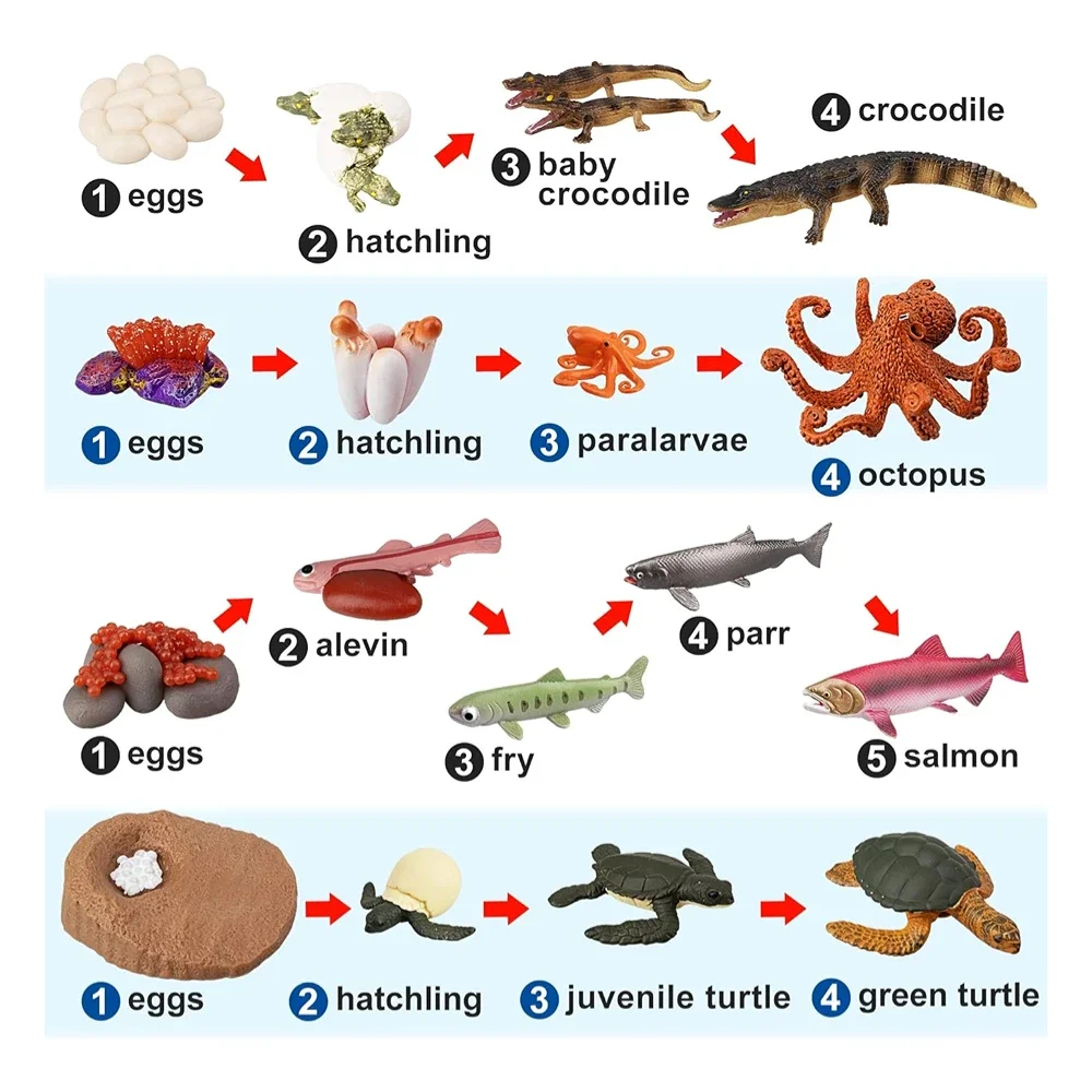 Фигурки морских животных OozDec 17 шт. с жизненным циклом зеленая морская черепаха