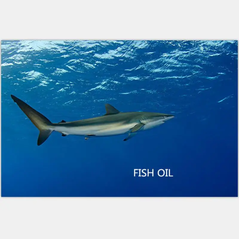 

200pcs Deep Sea Fish Oil Can Protect Bl ood Vessels Improve Vision