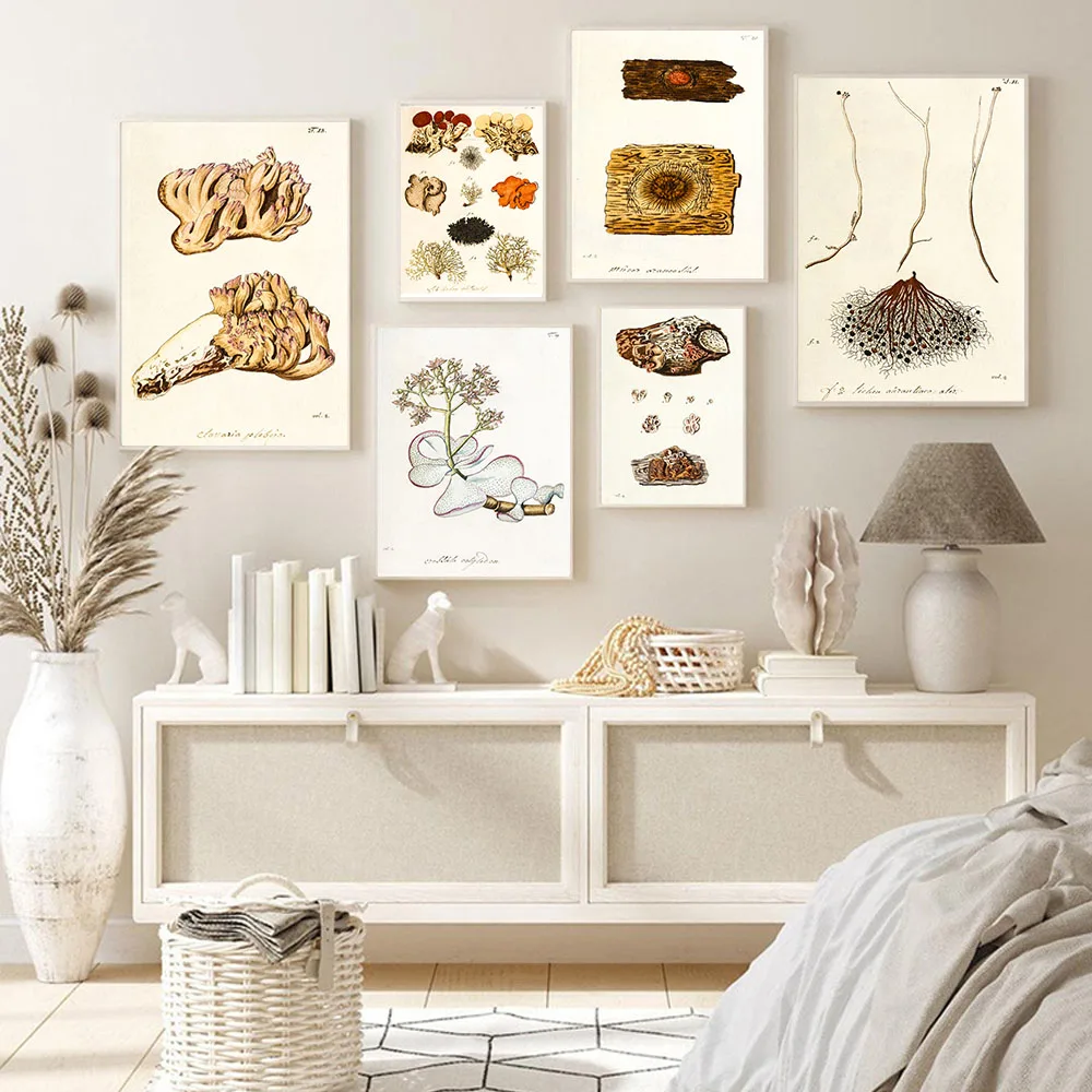 

Vintage Art mushroom canvas painting fungus plants on books science and education poster classroom corridor wall art mural